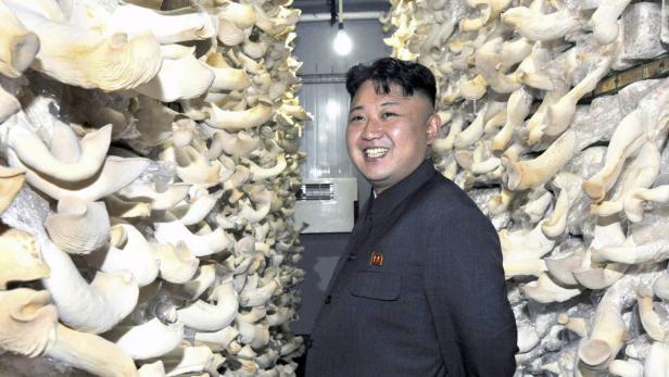 Kim Jong-un inmitten einer Pilzzucht.