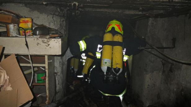 Zwei Menschen und sechs Katzen bei Hausbrand in NÖ gerettet