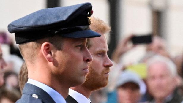 Enthüllung: Queen schickte Harry nach Afghanistan und verschonte William