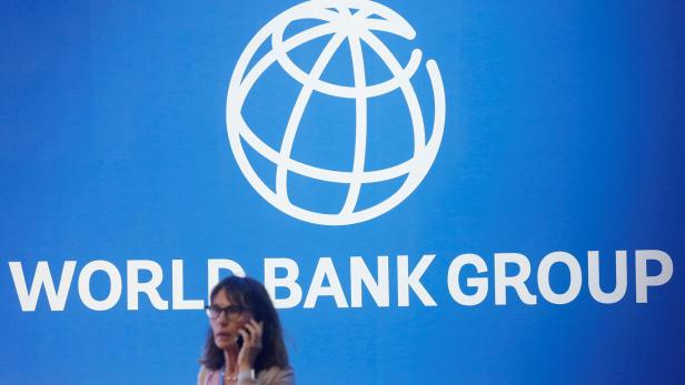 Hilfskredite fürs Klima: Die Weltbank soll grüner werden