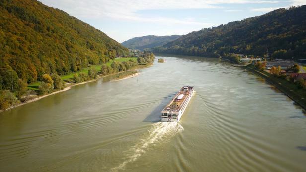 Weniger Schiffe: Corona war gut für Jungfische in der Donau