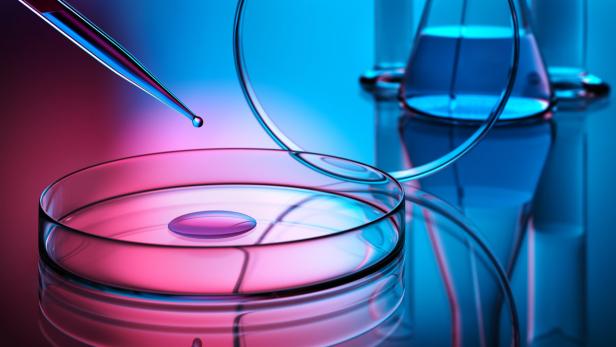 Eine Pipette gibt eine Flüssigkeit in eine Petrischale ab.