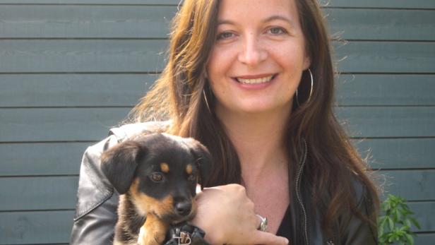 Auf den Hund gekommen: SPÖ-Stadträtin Ulli Sima sagt, die Stadt wolle die Tierversorgung selbst in die Hand nehmen