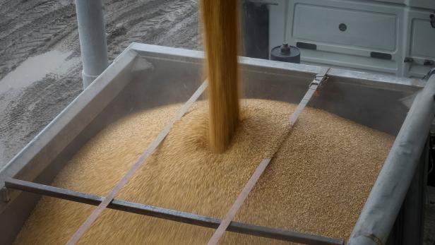 Streit um Blockade von Weizen aus der Ukraine: Kiew zieht vor Gericht 