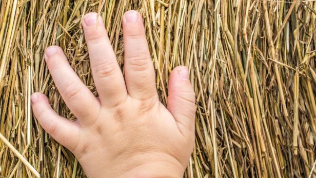 Child hand on hay bales in closeup