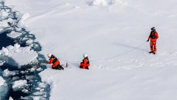 Arktische Eisalgen stark mit Mikroplastik belastet