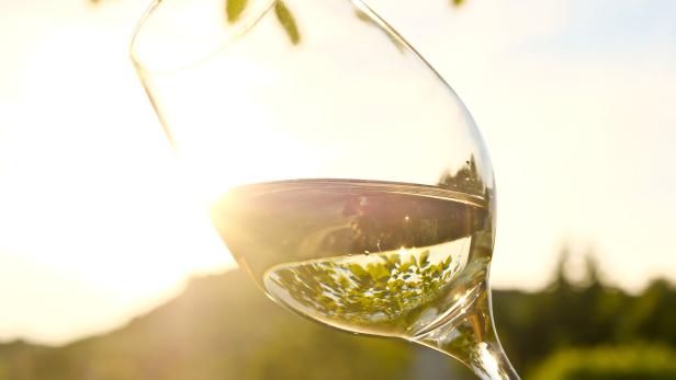 Im Burgenland scheint eine Weißwein-Renaissance anzubrechen