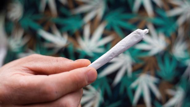 Four-twenty cannabis holiday, in Mexico City Cannabiskonsum erhöht Risiken bei Operationen