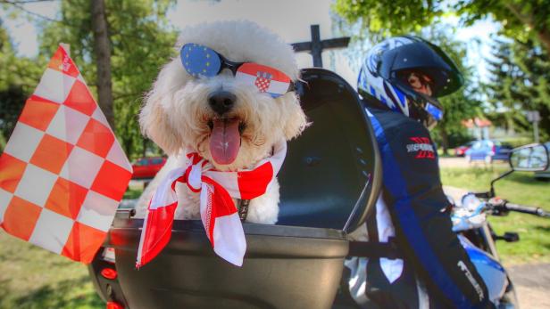 epa02794574 A biker with his dog dressed in Croatian national colours and the EU symbol on dog&#039;s glasses visits graveyard where Croatian soldiers are buried, who killed in the Serbo-Croatian war from 1991-1995, on the outskirts Zagreb, Croatia on 25 June 2011. Croatia celebrates 20 years of independence on 25 June 2011, after it broke away from the former Yugoslavia. EPA/ANTONIO BAT