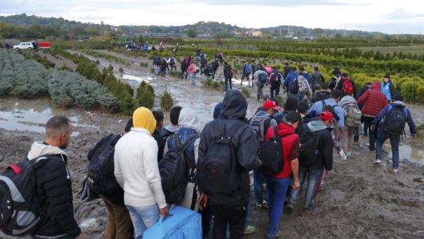 Flüchtlinge gehen über die Grüne Grenze von Kroatien nach Ungarn: Seit Mitternacht ist diese Grenze zu