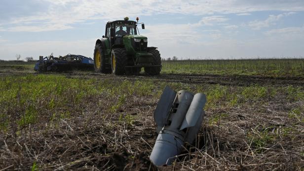 Sowing campaign in Zaporizhzhia region