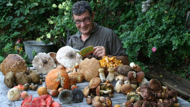 Toni Moravec kennt die meisten der Pilze, die Burgenlands Wäldern wachsen