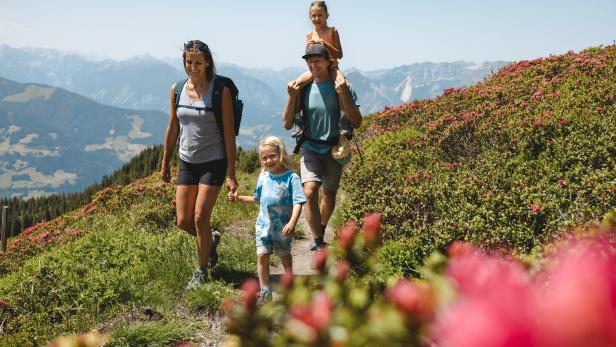 Eine Familie wandert auf einem Bergpfad mit blühenden Alpenrosen.