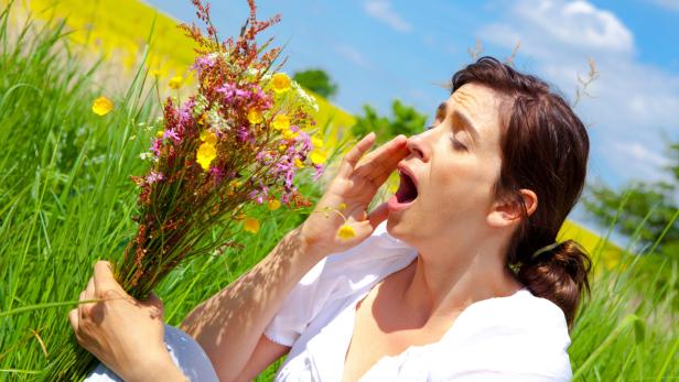 Pollenalarm: Wie sehr Allergiker heuer leiden müssen