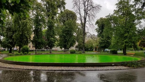 Klimaaktivisten färbten Brunnen im Kremser Stadtpark grün ein