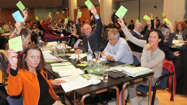 Nur eine Gegenstimme gab es beim Antrag Grüne (fast) geschlossen für Eurobonds