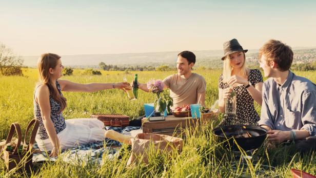 Eine Gruppe von Freunden macht ein Picknick in einer Wiese und stößt mit Getränken an.