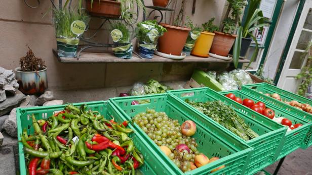 Sonntags: Obst und Gemüse vor dem Eingang zum Armenwirtshaus in Gumpendorf