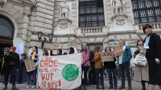 Fridays For Future activists protest in Vienna