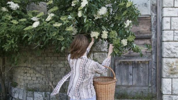 Eine Frau pflückt Holunderblüten vor einem alten Haus mit einem Korb.