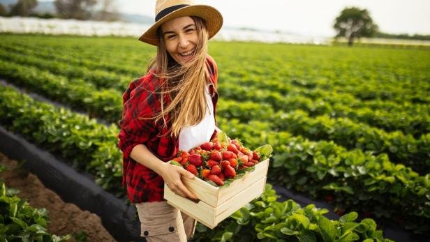 Young attractive woman holding a basket filled with strawberries