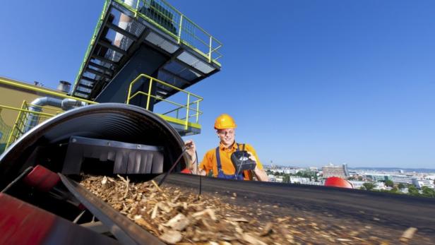 Ohne Förderungen droht Biomasse-Kraftwerken Pleite