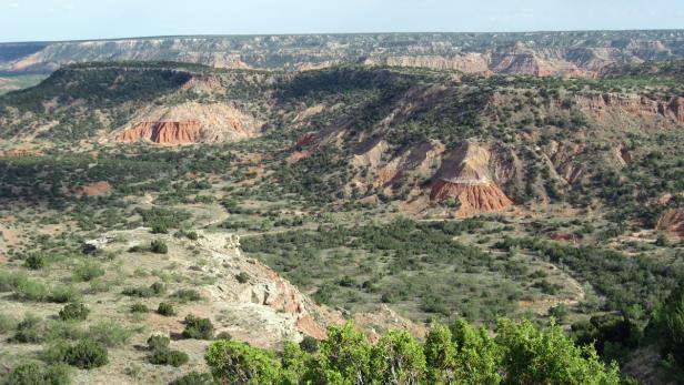 Blick über die hügelige Landschaft des Palo Duro Canyon State Park in Texas.