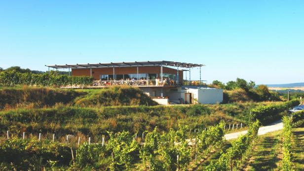 Die Weinbeisserei in Mollands liegt inmitten eines Weinbergs.