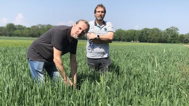 Hans Gribitz und Christian Fenz kämpfen gegen die Zerstörung ihrer fruchtbaren Äcker