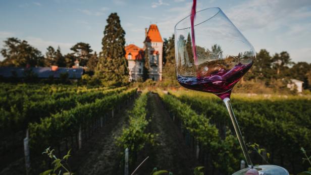 Gemeinsame Vermarktung: Gütesiegel für Thermenregion-Weine