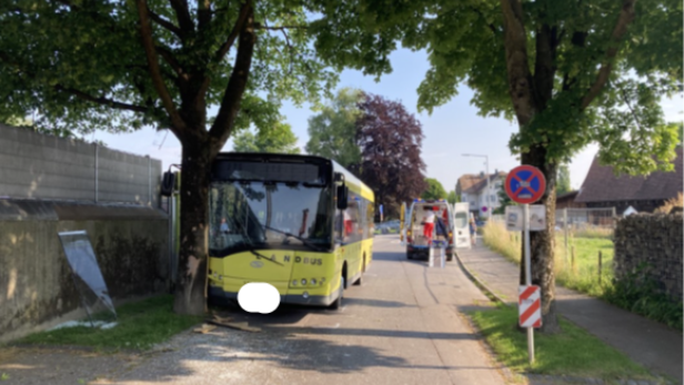 Ein gelber Linienbus ist gegen einen Baum gefahren; Glassplitter liegen auf dem Boden.
