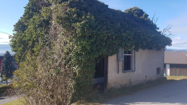 Ein kleines, verlassenes Haus ist vollständig mit Efeu bewachsen.