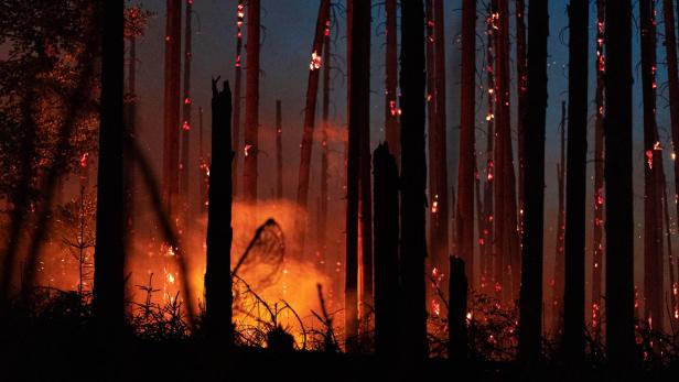 WALDBRAND IM LAHN-DILL-KREIS