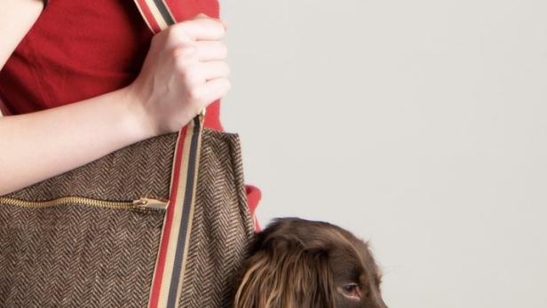 Eine Frau trägt eine braune Handtasche mit einem Dackel darin.