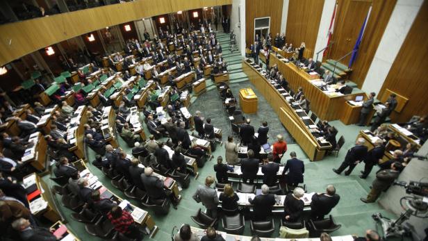 APA3334692 - 22122010 - WIEN - ÖSTERREICH: Blick in den Plenarsaal am Mittwoch, 22. Dezember 2010, anl. der Abstimmung zum Bundesfinanzgesetz 2011 im Wiener Parlament. Die Grünen unterstrichen dabei ihre Ablehnung mit dem Hochheben grüner &quot;Nein&quot;-Tafeln.. APA-FOTO: GEORG HOCHMUTH