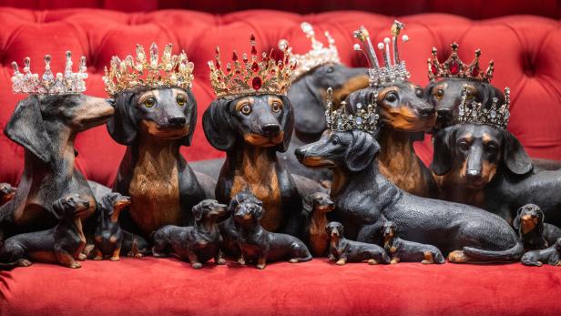 Mehrere Dackel-Figuren mit Kronen sitzen auf einem roten Sofa.
