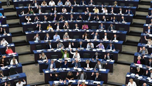 Streit um Naturgesetz endet im EU-Parlament im Chaos