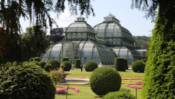 Im Großen Palmenhaus in Wien putzte schon die Marine die Fenster