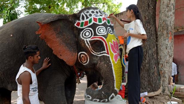 Thailand holt verschenkten, "misshandelten" Elefanten aus Sri Lanka zurück