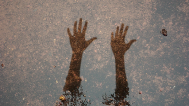 oneworldbaddhimaleeshasewwandi