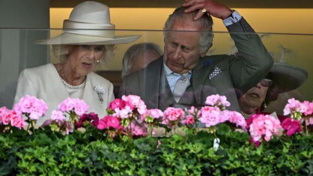 Royal Ascot: Über Sussexes wurde gelästert - Camilla soll sich Seitenhieb erlaubt haben