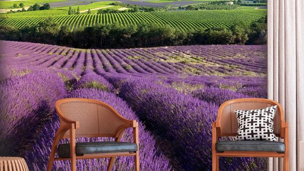 Im Trend: Violett - die Farbe der Provence