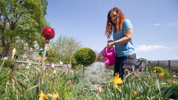 Profi-Tipps: So bringen Sie Ihren Garten durch den Sommer