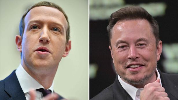 Elon Musk und Mark Zuckerberg wollen sich im Käfig prügeln