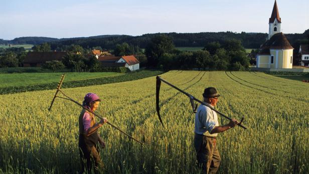 Landwirte in der Ökoregion Kaindorf setzen auf Humus