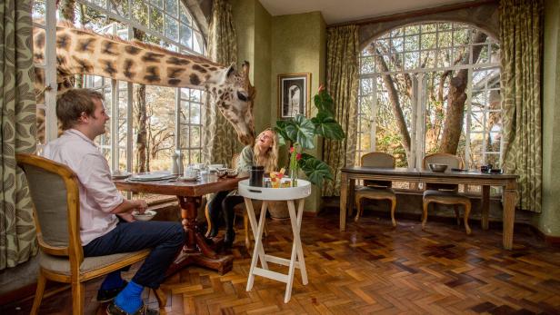 Eine Giraffe streckt ihren Kopf durch das Fenster zu zwei Personen beim Essen im Giraffe Manor in Kenia.