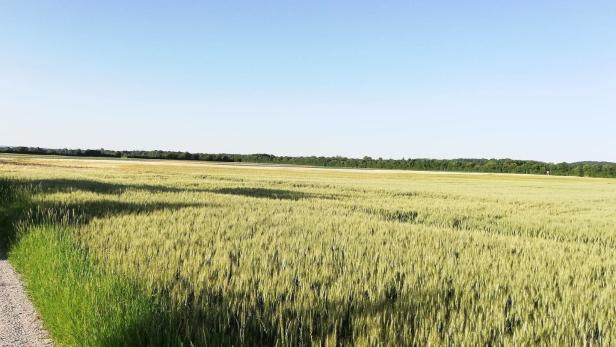 Gutachter-Streit um geplantes Zentrallager in St. Pölten