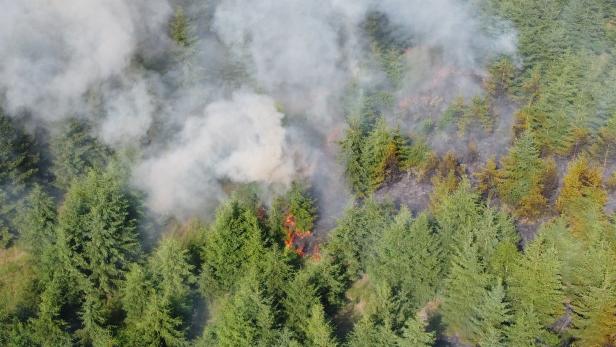 Waldbrandverordnung NÖ: In diesen Bezirken ist Feuer machen verboten