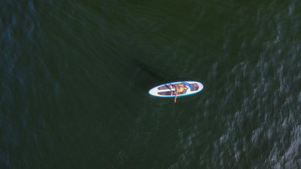 Auf "Stand-Up-Paddle" gehoben: 36-Jährige rettete untergehenden Schwimmer