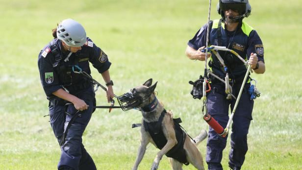 Vermisstensuche auf 2.000 Meter: Polizeihunde werden fit für die Berge